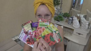 Конец января  2026 года. Посеяла петунии для  майского цветения в кашпо. Второй заход.