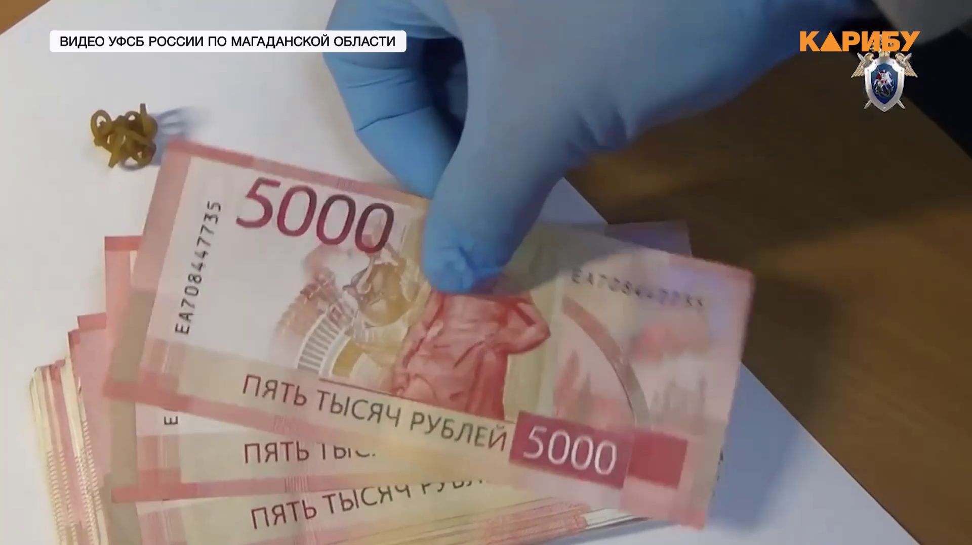 Мужчина пытался дать взятку сотруднику ФСБ за мешки с золотой рудой смотреть онлайн