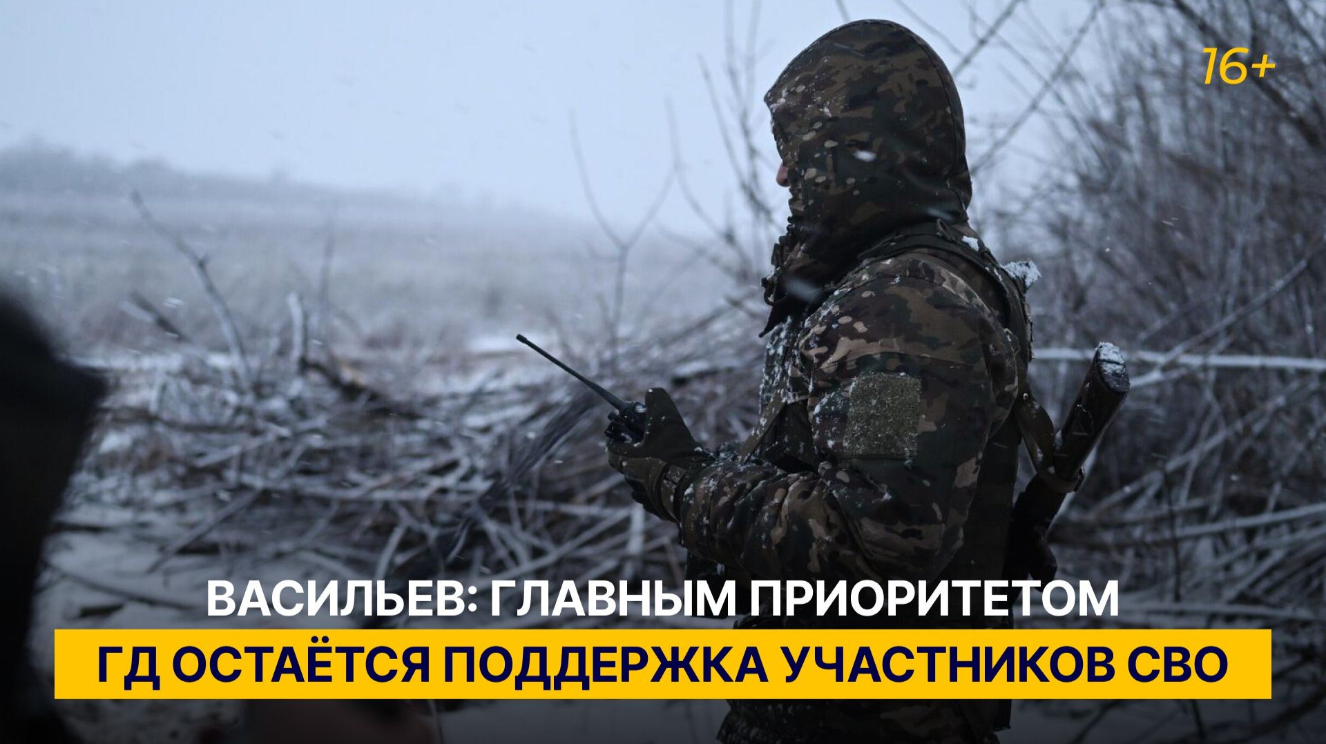 Васильев: главным приоритетом ГД остаётся поддержка участников СВО смотреть онлайн