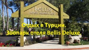 Отдых в Турции. Зоопарк отеля Bellis Deluxe.