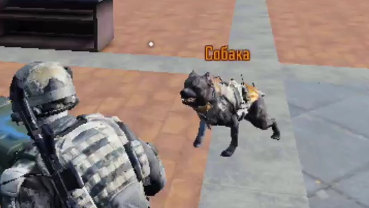 25 KILLS | CALL OF DUTY | TOP 1| KRAI | 60 FPS #callofduty