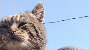 Про инструмент и не только