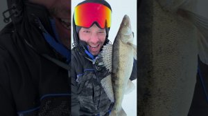 Рыболовный ЧЕЛЛЕНДЖ 2026! День 3. #снастиздрасьте