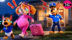 Щенячий патруль и Маршалл. Залипательное видео. Мультфильм для детей и малышей. Анимация 142