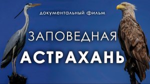 ЗАПОВЕДНАЯ АСТРАХАНЬ - документальный фильм об Астраханском заповеднике в 4К