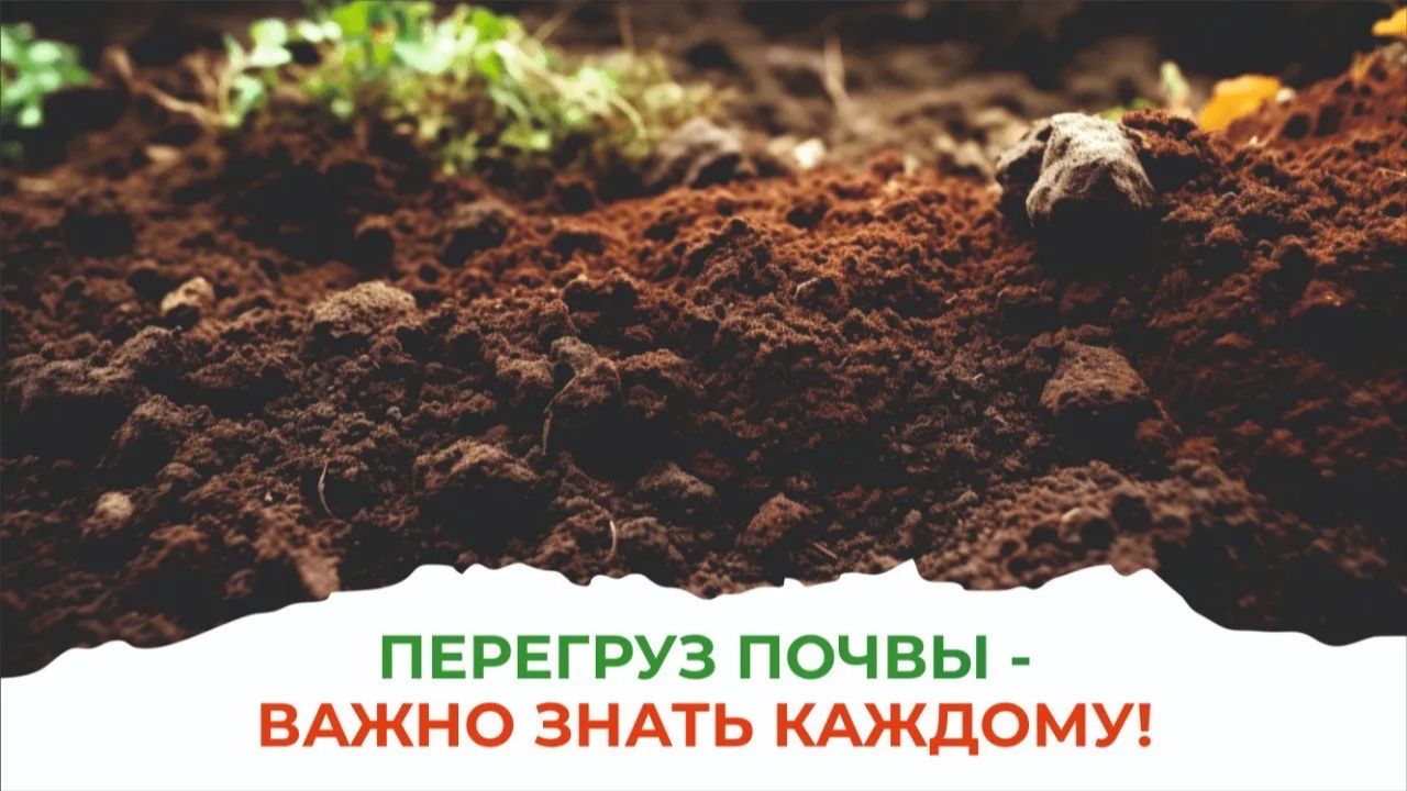 Война, невидимая глазу – это массовое применение пестицидов и гербицидов на полях смотреть онлайн