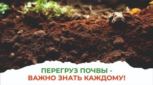 Война, невидимая глазу – это массовое применение пестицидов и гербицидов на полях