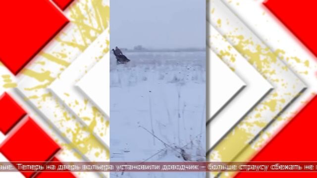 27.01.2026 Мировые новости смотреть онлайн