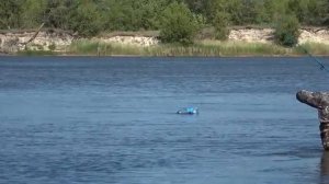 КОНЕЦ ЗАПРЕТУ! ПОПЕРЛИ САЗАНЫ И КАРАСИ НА ДОНУ! Рыбалка на донки. Ловля сазана.