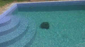 Строительство бассейна 8*4 м  с перепадом глубин от 1,4 м до 2 м. Отделка пленкой ПВХ.