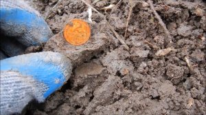 АРХИВ. Копо-прогулка по весенним хуторам...