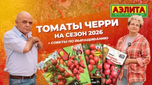 Томаты ЧЕРРИ на 2026 год!