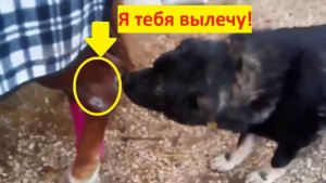 Я тебя вылечу!