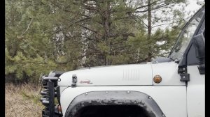 Охота на косулю 11.2025