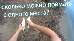 На рыбалку! На минске! Ловля на самодельную кастинговую сеть!