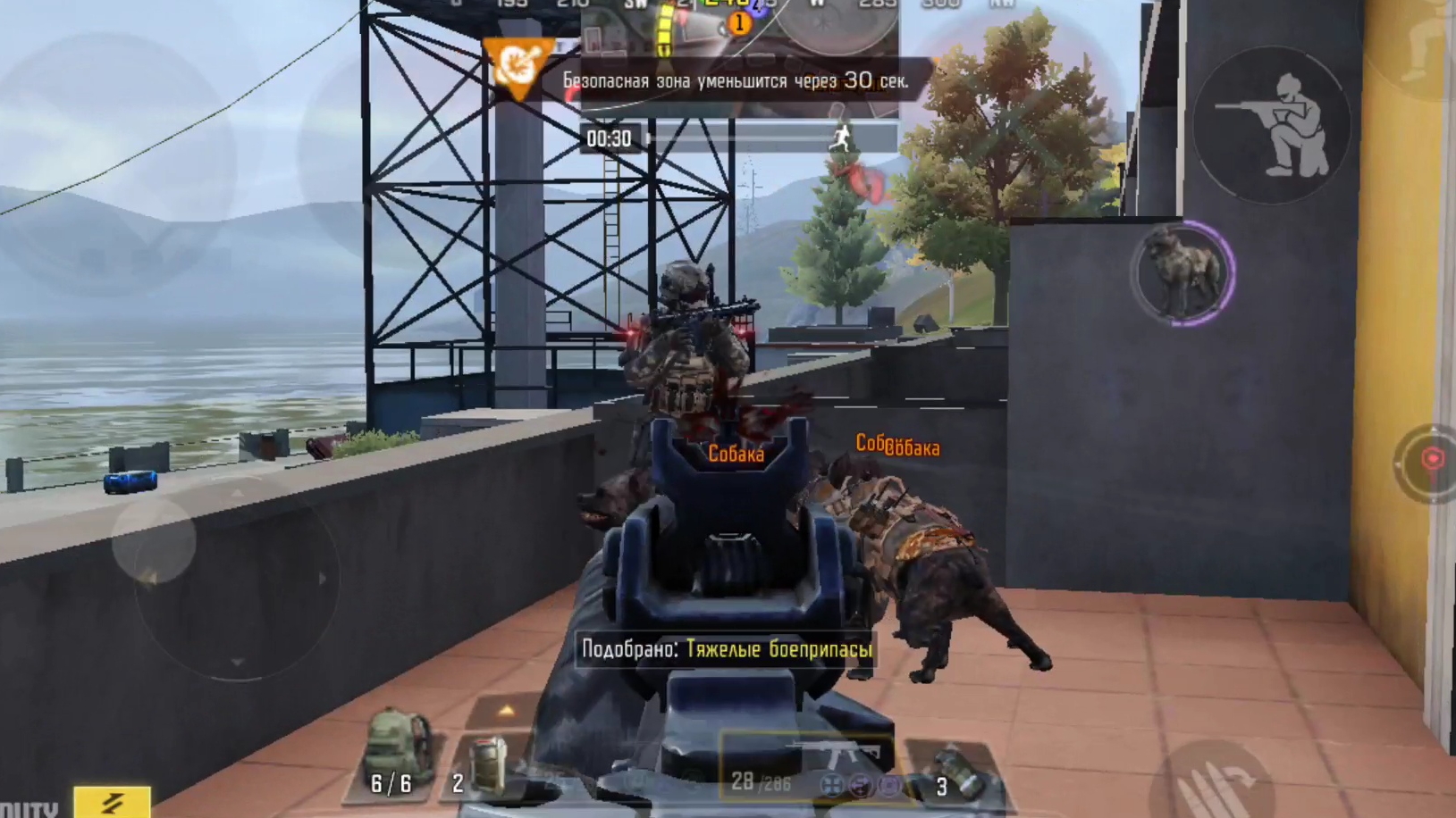 34 KILLS | CALL OF DUTY | TOP 1| KRAI | 60 FPS #callofduty