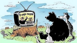 Итак, мы победили на Украине - и что мы будем там показывать на экранах