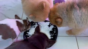 Очень полезный и вкусный перекус.