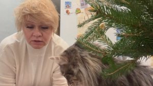 Этот день нельзя забывать. Распаковка.