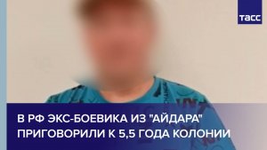 В РФ экс-боевика из "Айдара" приговорили к 5,5 года колонии