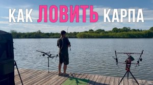 Соревнования. Поймали 110 рыб. Как ловить карпа? Карпфишинг 2025