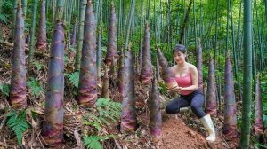 Собираю свежие побеги бамбука в глубине леса и продают их в свежем виде местным жителям. Нхат