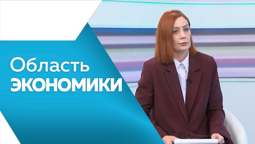 Область экономики №169 смотреть онлайн