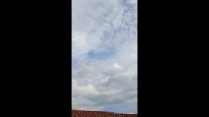 Ленинаканские голуби Олега. Рязанская область. Рыбное