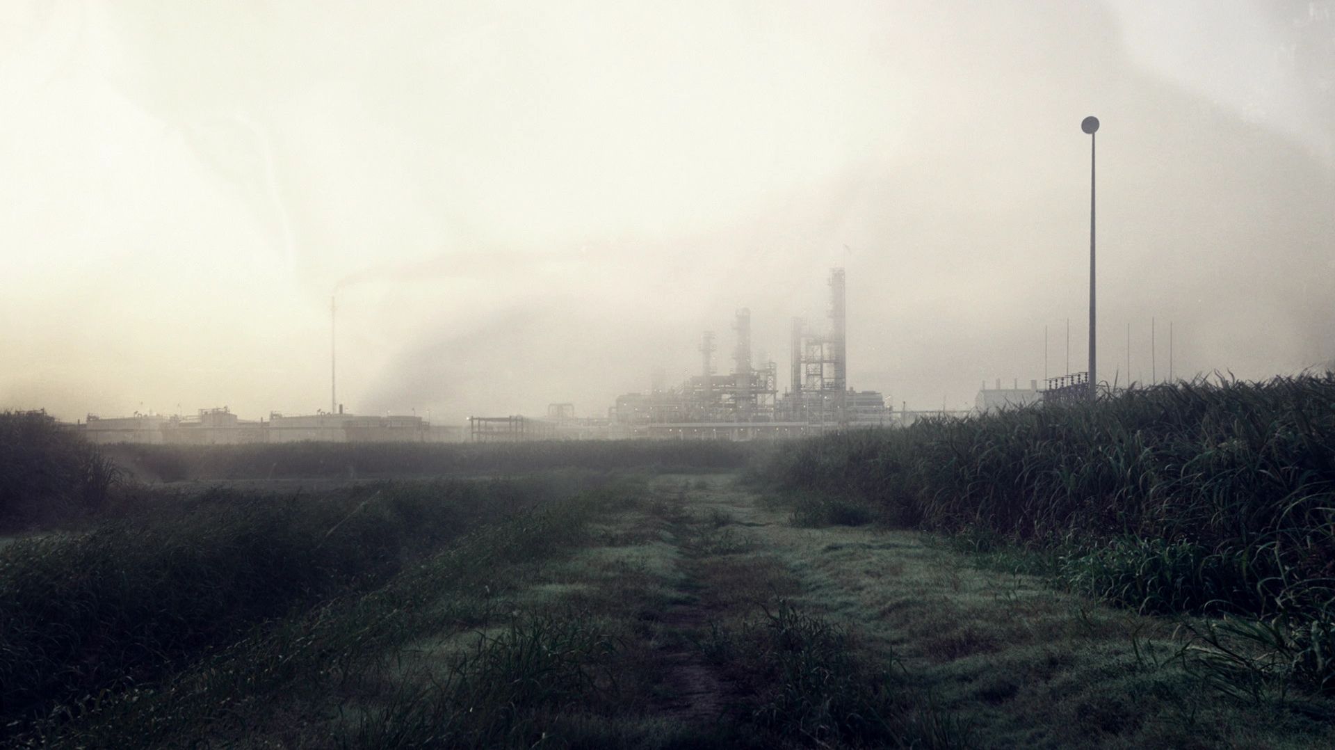 The Handsome Family — Far From Any Road