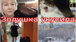 27-01-2026 Все убрано и постирано * Брауни в микроволновке на 44 г белка * Готовлю на скорую руку