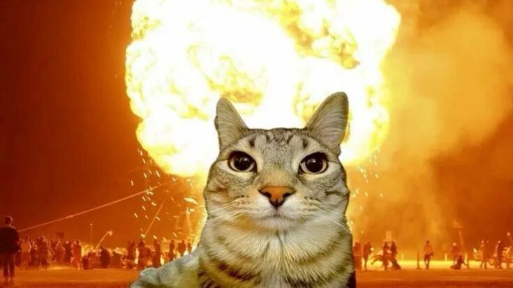 Сбеги от цунами ради брейнротов