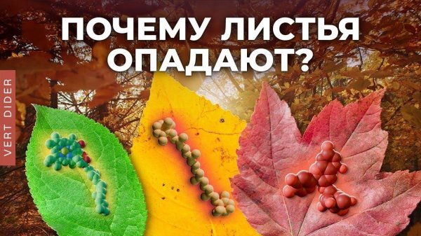 Удивительная биохимия листопада [Clockwork]