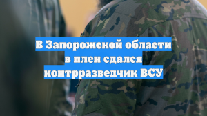 В Запорожской области в плен сдался контрразведчик ВСУ