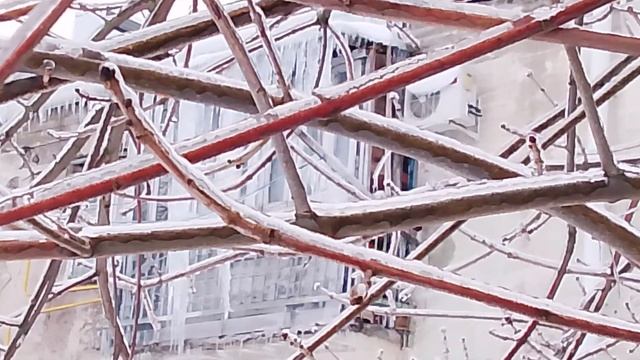 1000005155.mp4 смотреть онлайн