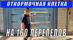 Откормочная клетка на 160 перепелов — полный обзор