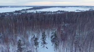 Шишкино 27.01.2026 ускорение x4