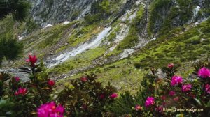 #Коран#аль-Имран#СамыеКрасивыеМеста#Отдых##Ислам#Коран#аль-Имран'#Миншавий #4кВидео#32часть#