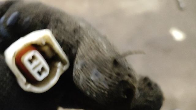 проводка мотора Мазда 3 бк.mp4