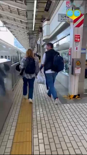 Япония в тени Фудзи