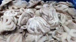 Осьминог с/м