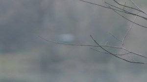 1 Часть Глубокая Осень Октябрь От 10 10 2025 Года.