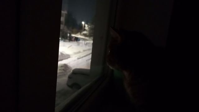 Техника  🚜 и снег❄️❄️❄️
Вечер 28 января 2026 г.