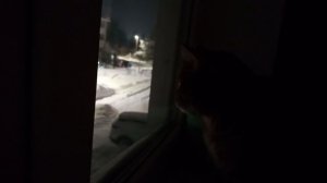 Техника  🚜 и снег❄️❄️❄️
Вечер 28 января 2026 г.