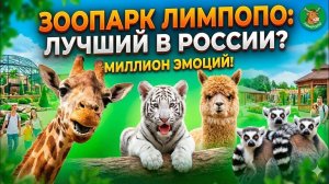 Это ЛУЧШИЙ зоопарк России? Честный обзор Лимпопо!