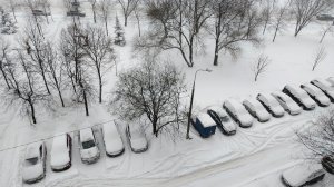 Снегопад в Москве, 28 января 2026