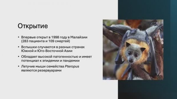 Вирус Нипах