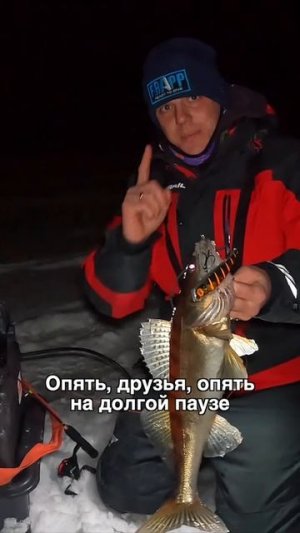 Перебор приманок и результат – ночной судак не смог устоять!🤤 #teammida