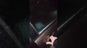 Последствия ледяного дождя -1