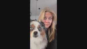 #смешныевидео -791