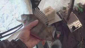 УЕХАЛИ НА РЫБАЛКУ С НОЧЁВКОЙ / МОРОЗ ДАВИТ / В ПОИСКАХ ТРОФЕЙНОЙ РЫБЫ